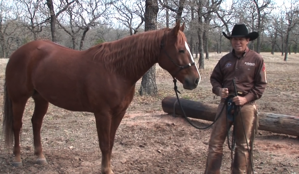 Episode 06 | Advanced Leading