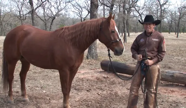 Episode 06 | Advanced Leading