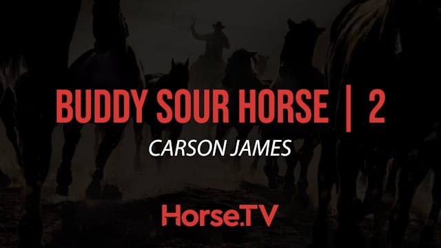 Buddy Sour Horse |2