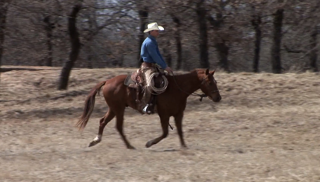 Episode 13 | Colt Start with Ty Murray - Pt 7