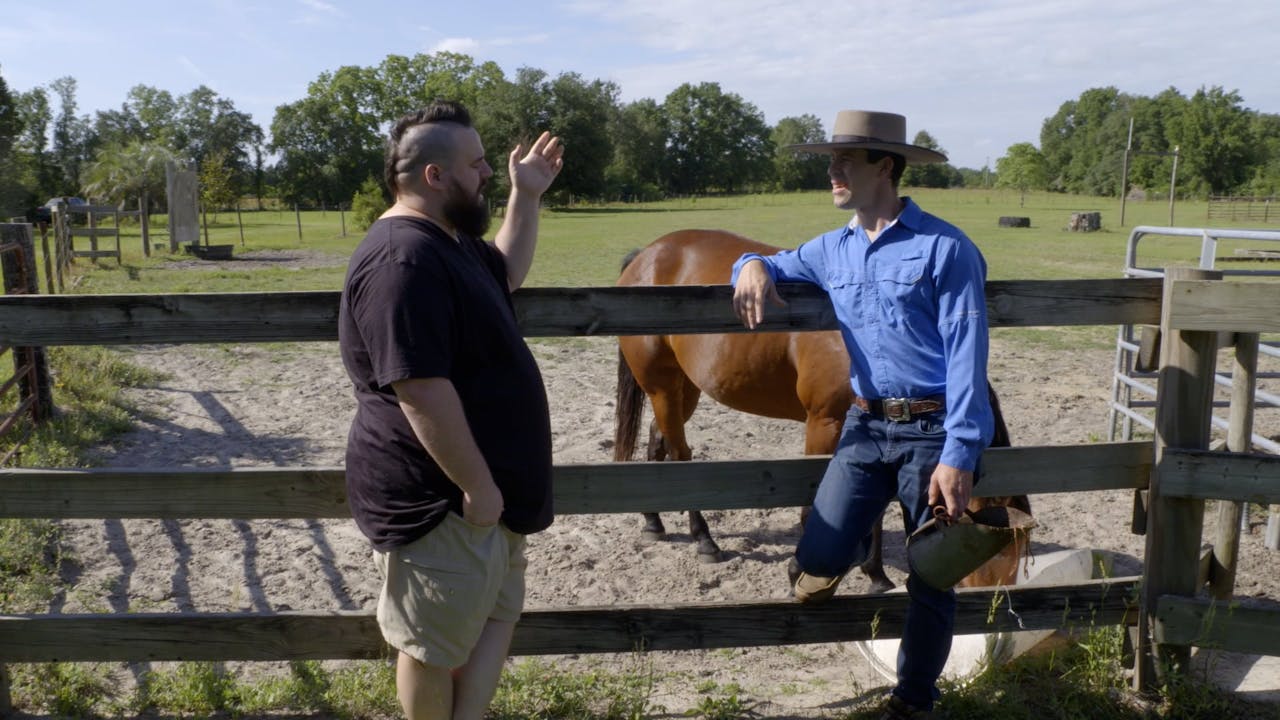 Horse Boss Trailer Horse Boss Horse.TV