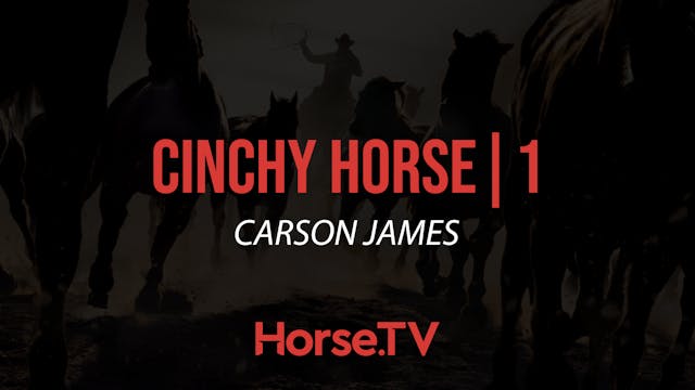 Cinchy Horse |1