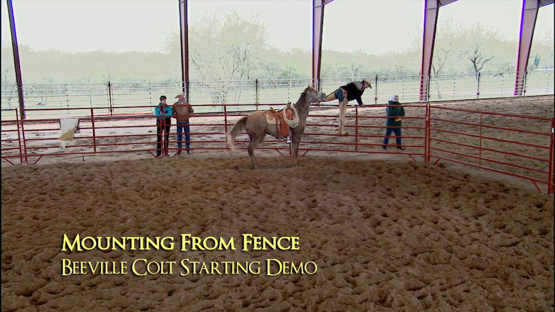 Mounting From The Fence