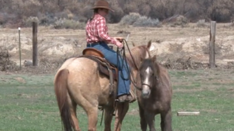 Episode 10 | Ponying