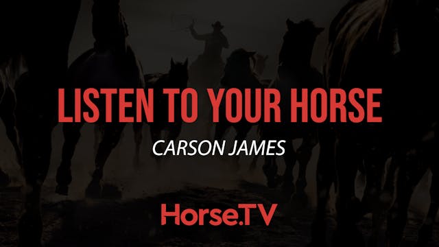 Listen To Your Horse