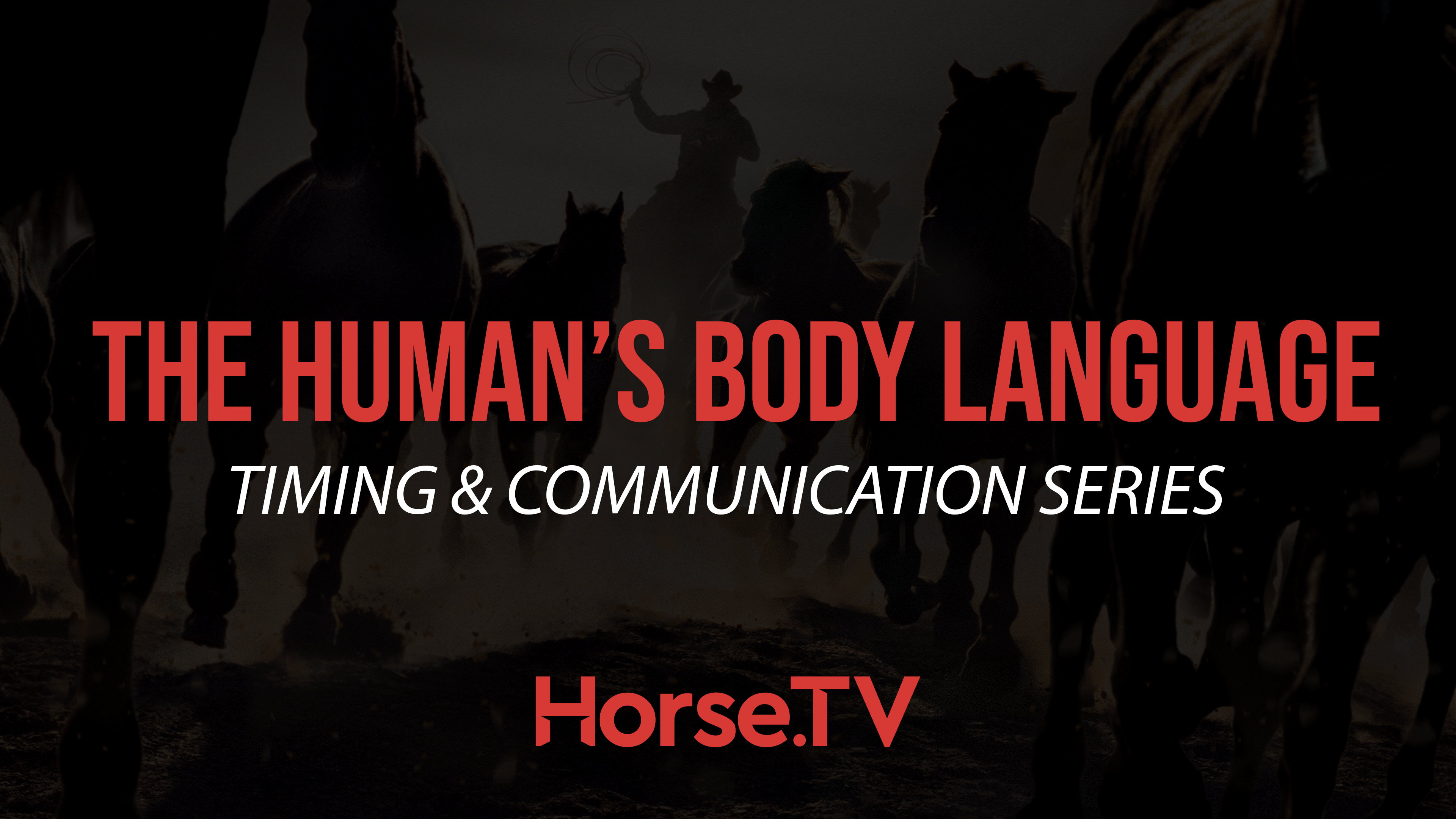 The Human's Body Language