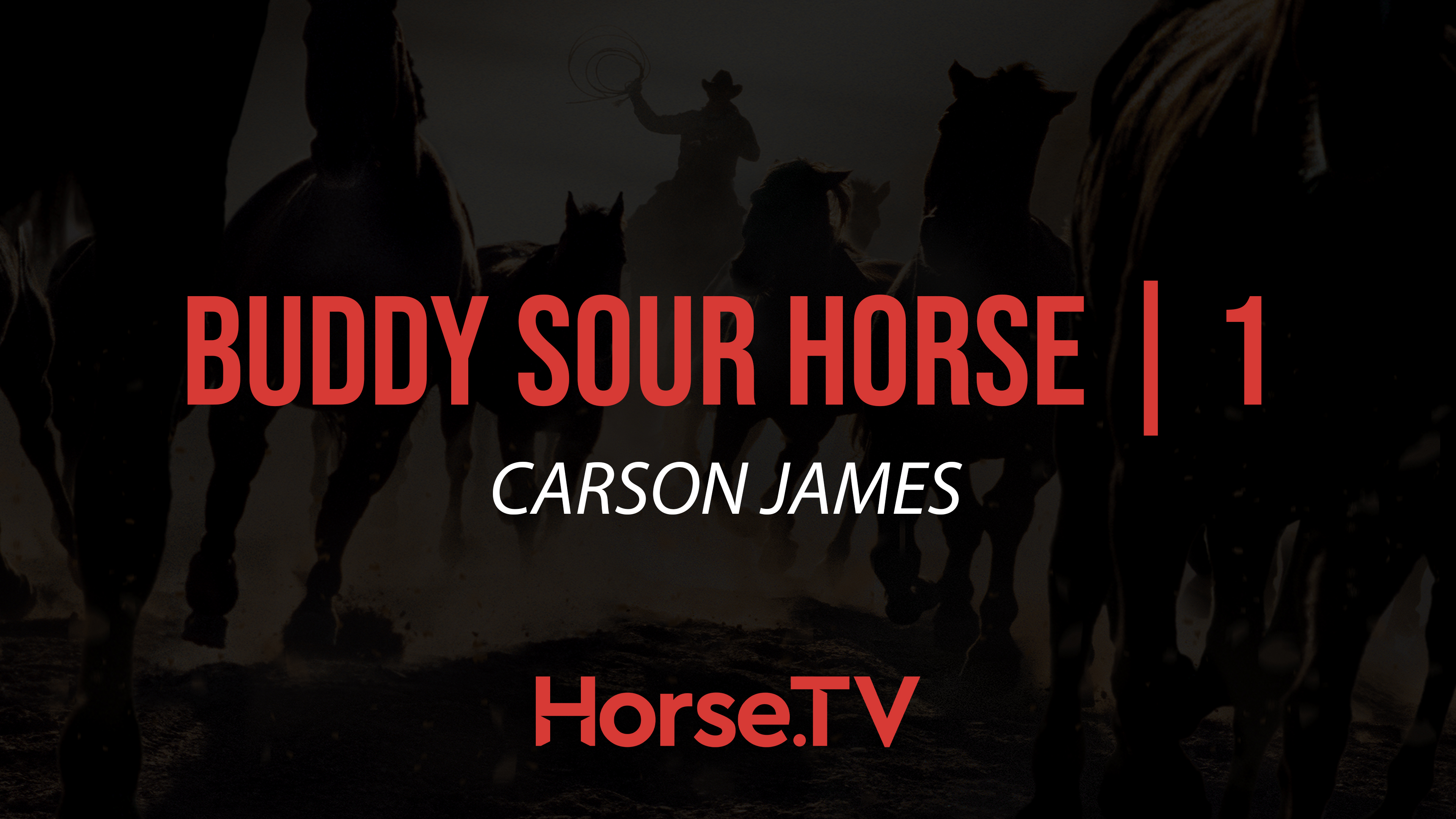 Buddy Sour Horse |1