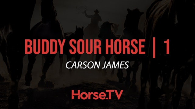 Buddy Sour Horse |1