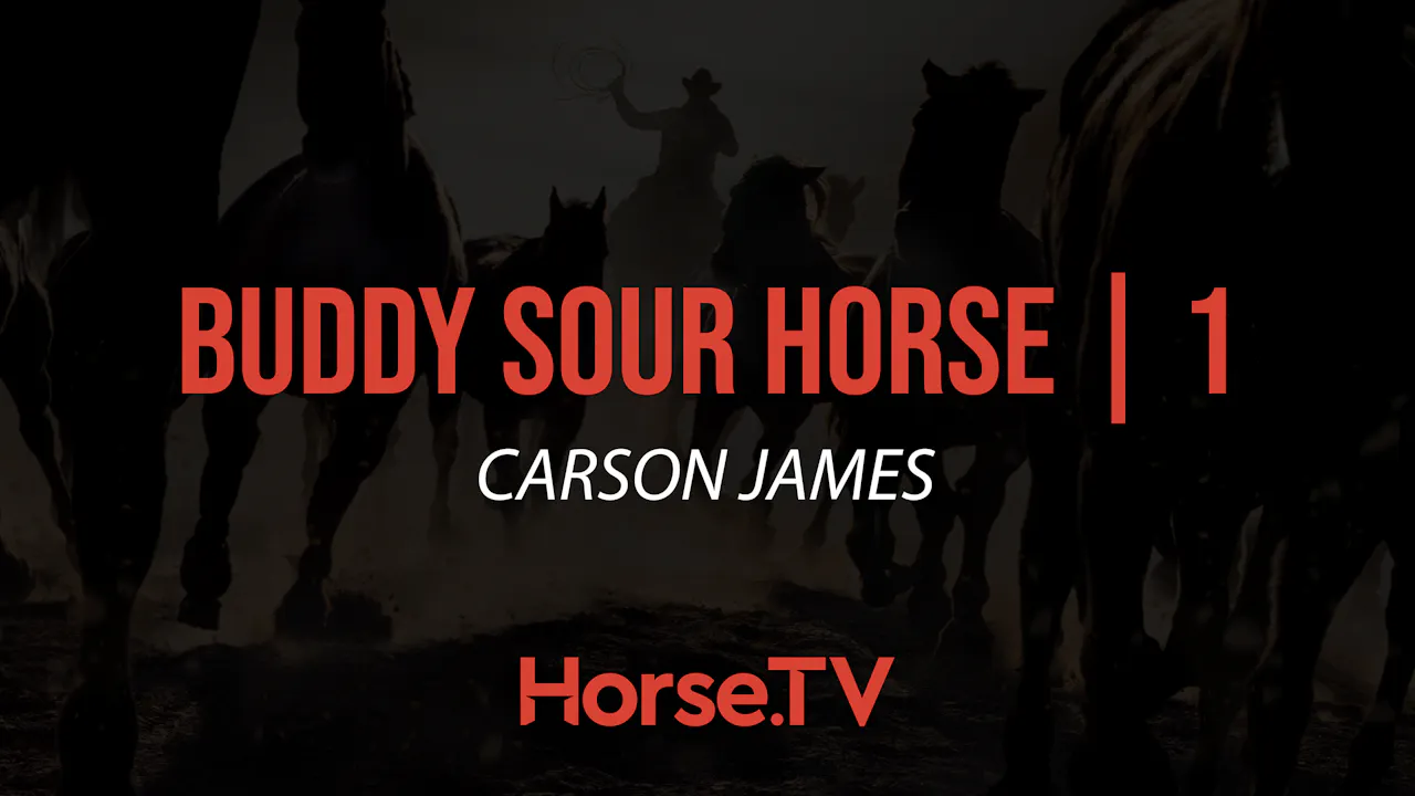 Buddy Rour Buddy Sour Horse |1 - Horse.TV