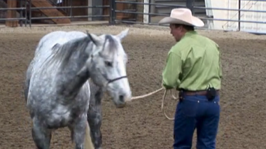 Episode 07 | From the Ground Up -  Pt 1