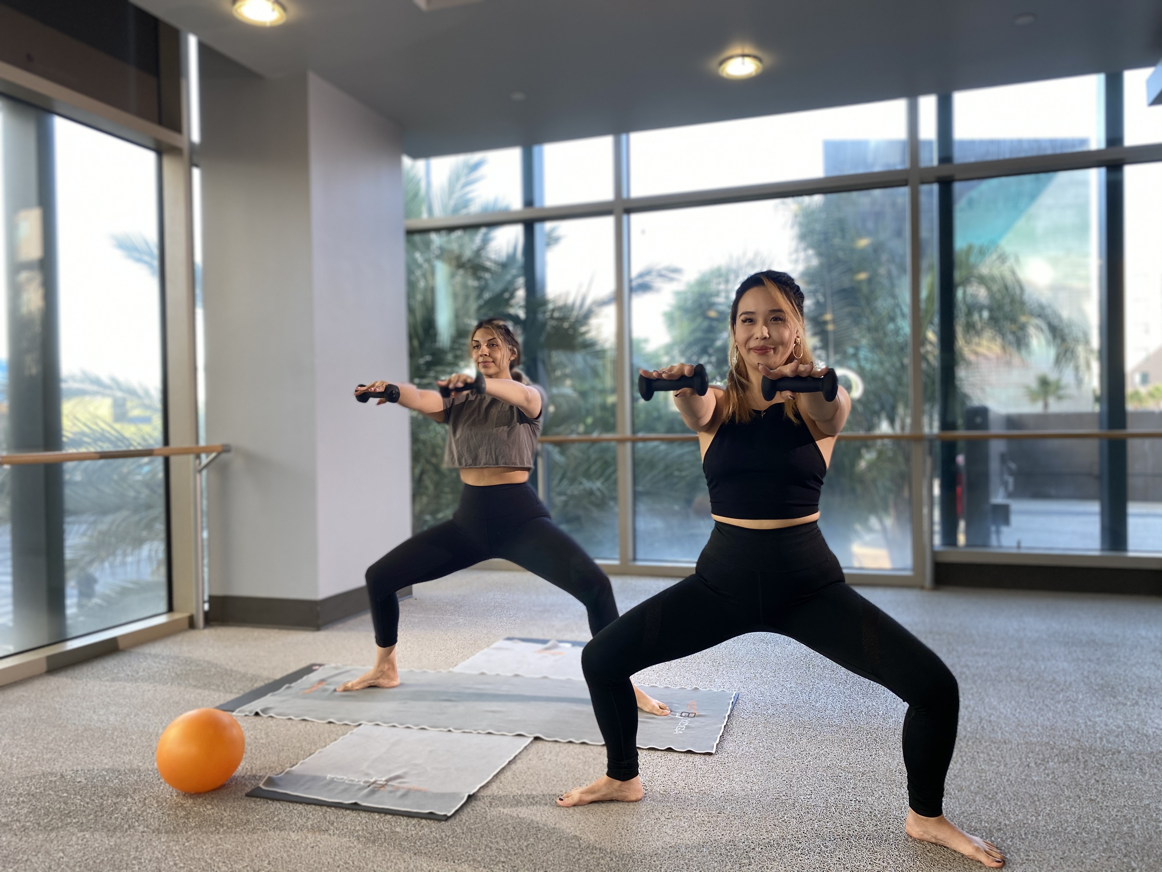 Yoga Barre with Candice