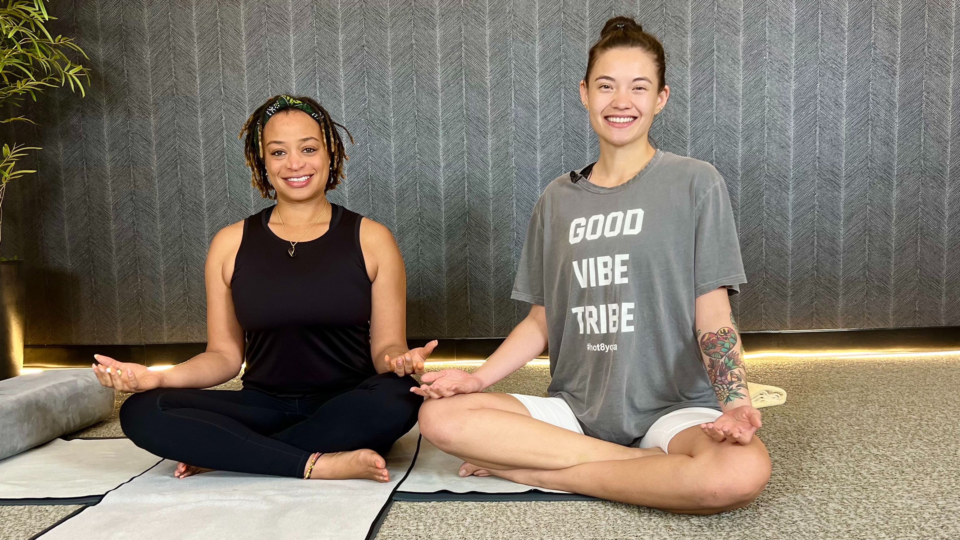 Restorative Yoga with Noelle N