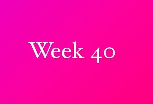 Week 40-2025