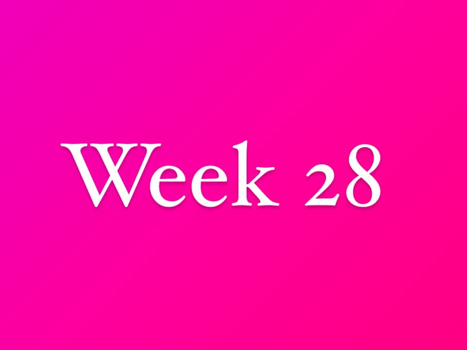 Week 28- 2024