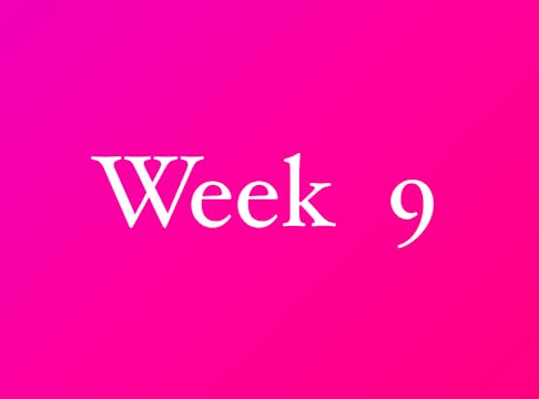 Week 9-2024