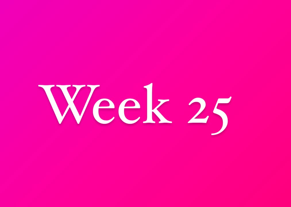 Week 25- 2024