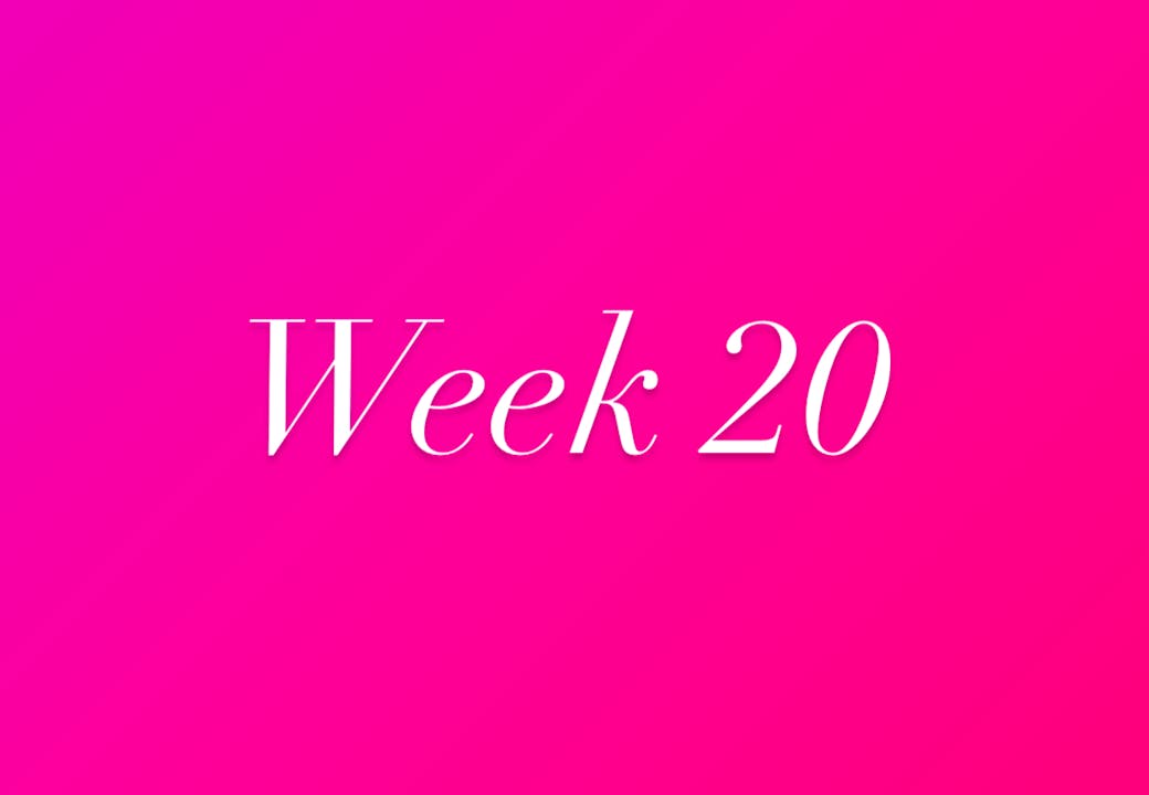 Week 20 - 2024