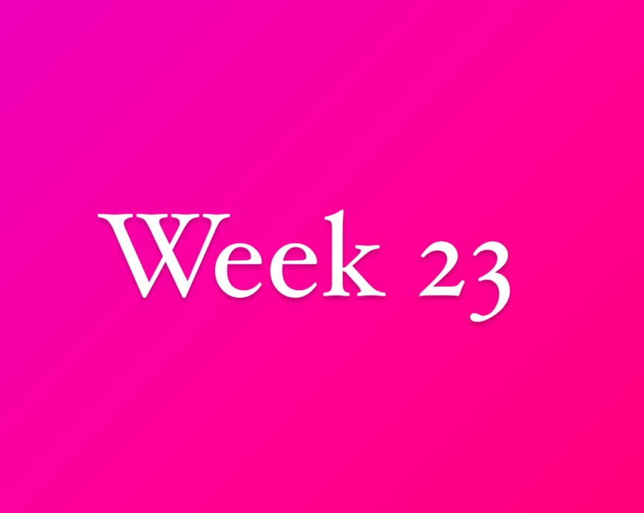 Week 23 - 2024