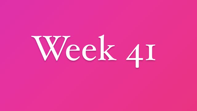 Week 41