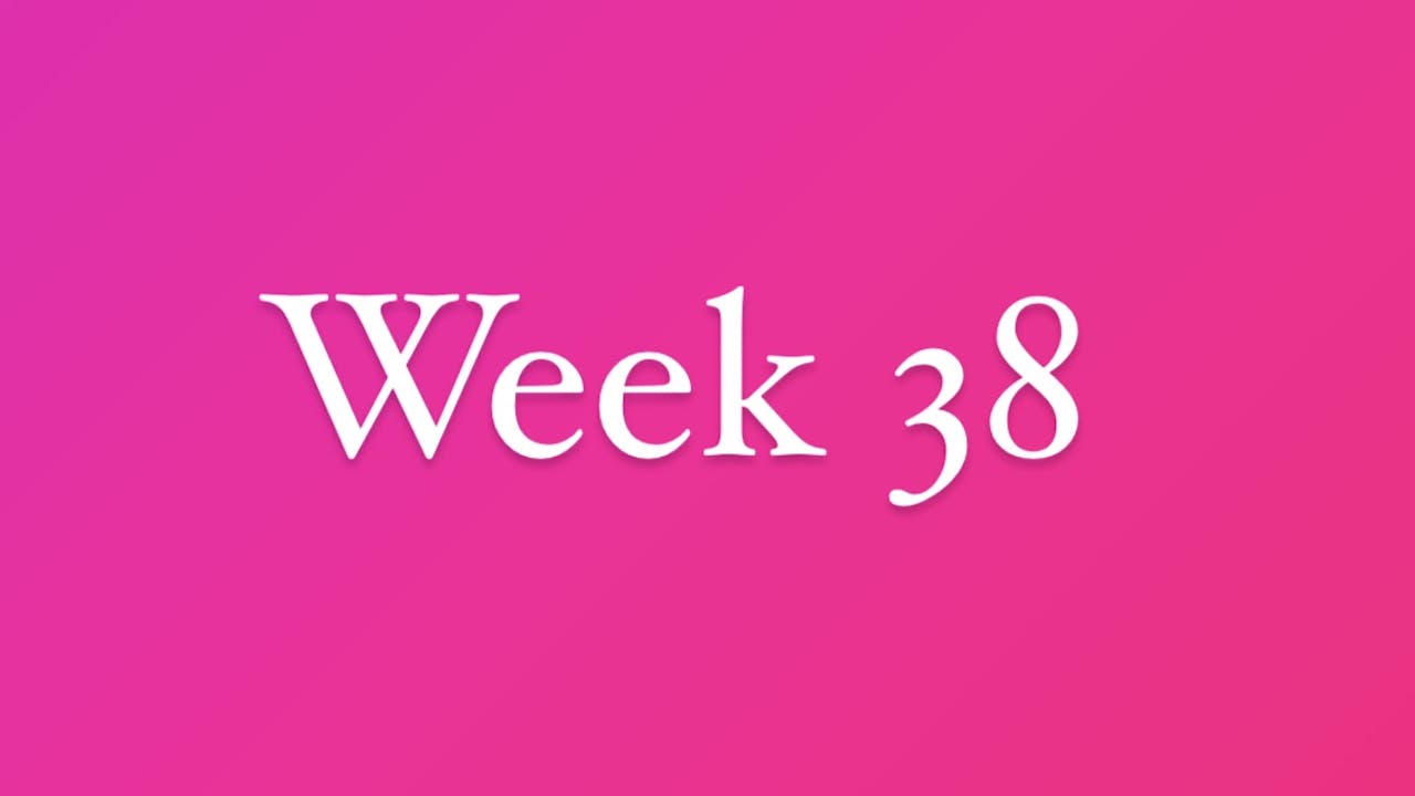 Week 38