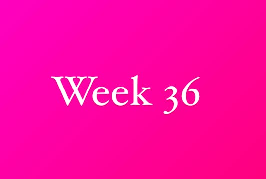 Week 36-2025