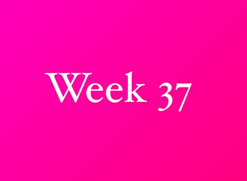 Week 37-2025