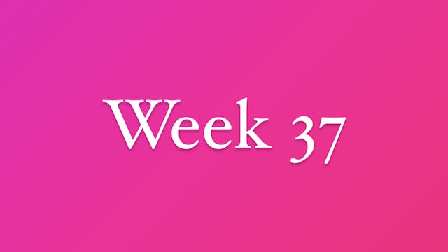 Week 37