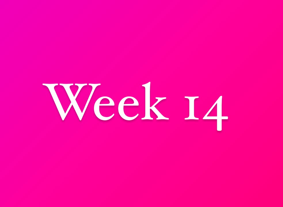 Week 14