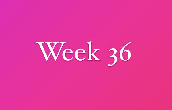 Week 36