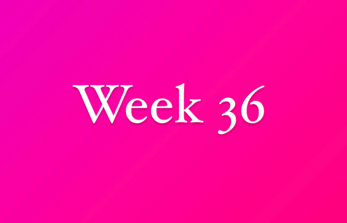 Week 36 Hotbox Body On Demand Workout Classes week-36-hotbox-body-on-demand-workout-classes