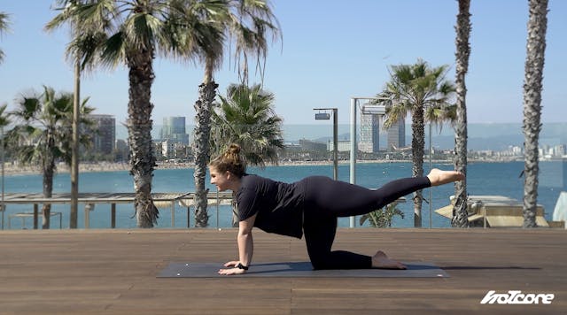 Combo 11 - Arms & glutes (17 min)