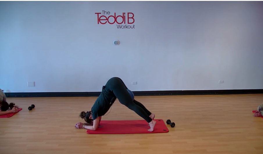 Release w Rebecca 12/8