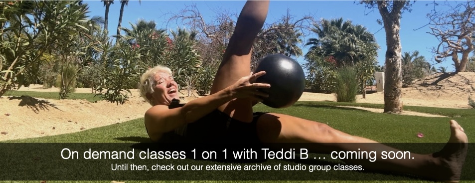 Teddi B 1 on 1 On Demand