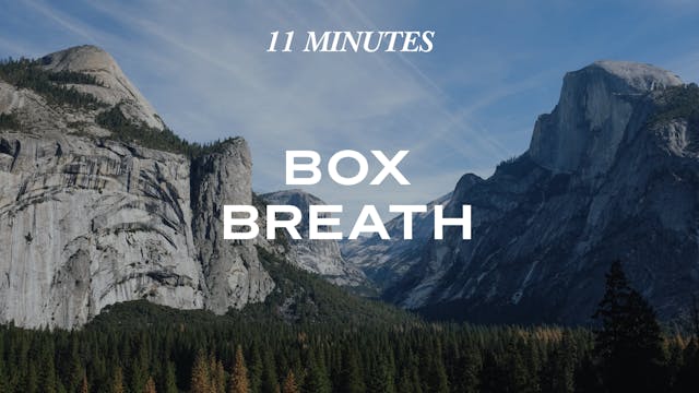 14 Minute Box Breath with Ananda 