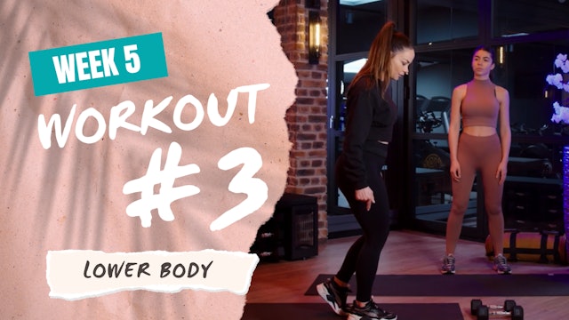 PT Week 5 / Workout 3 - Lower Body (#15)