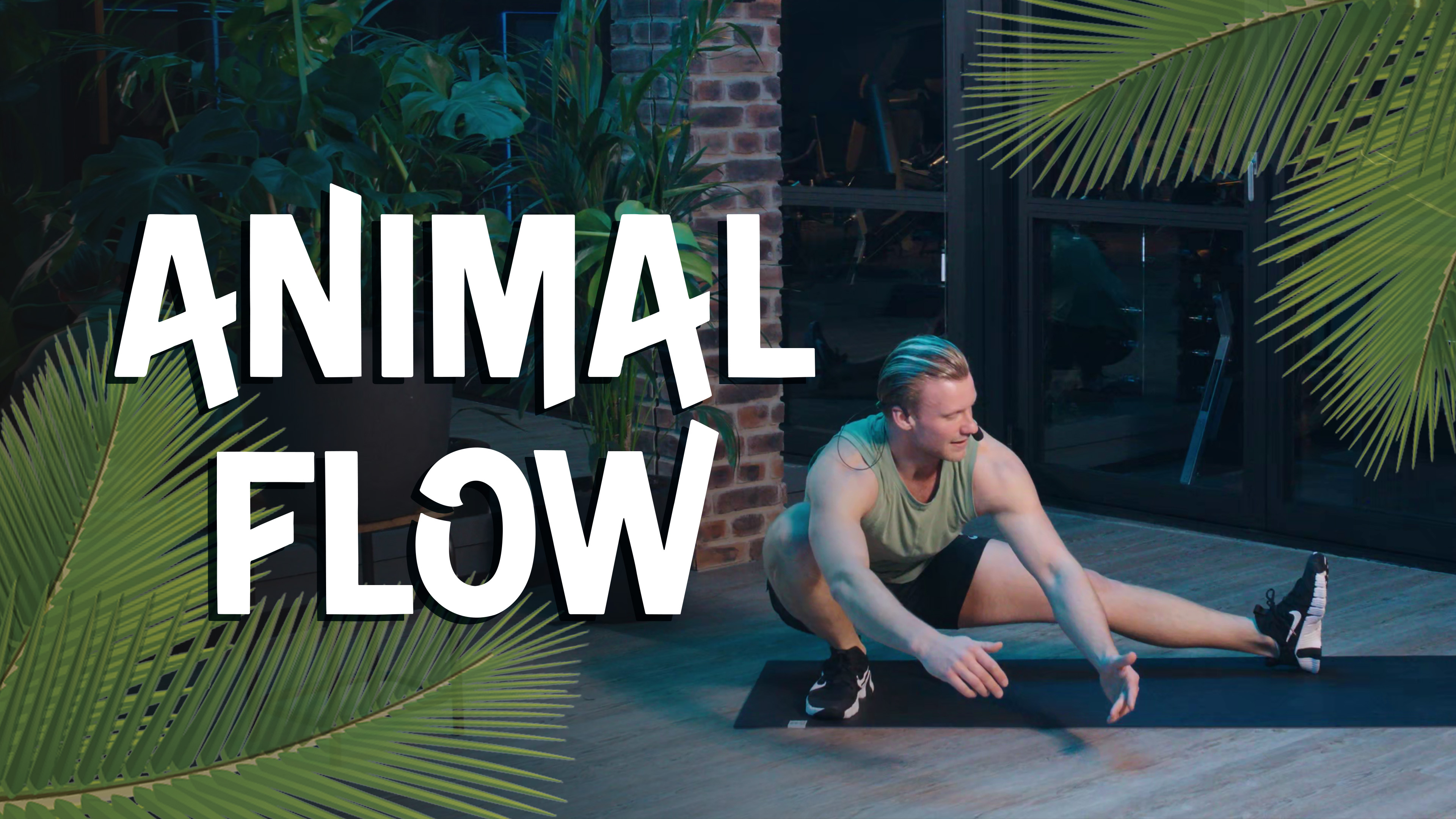 Animal Flow 🐊 2.0 