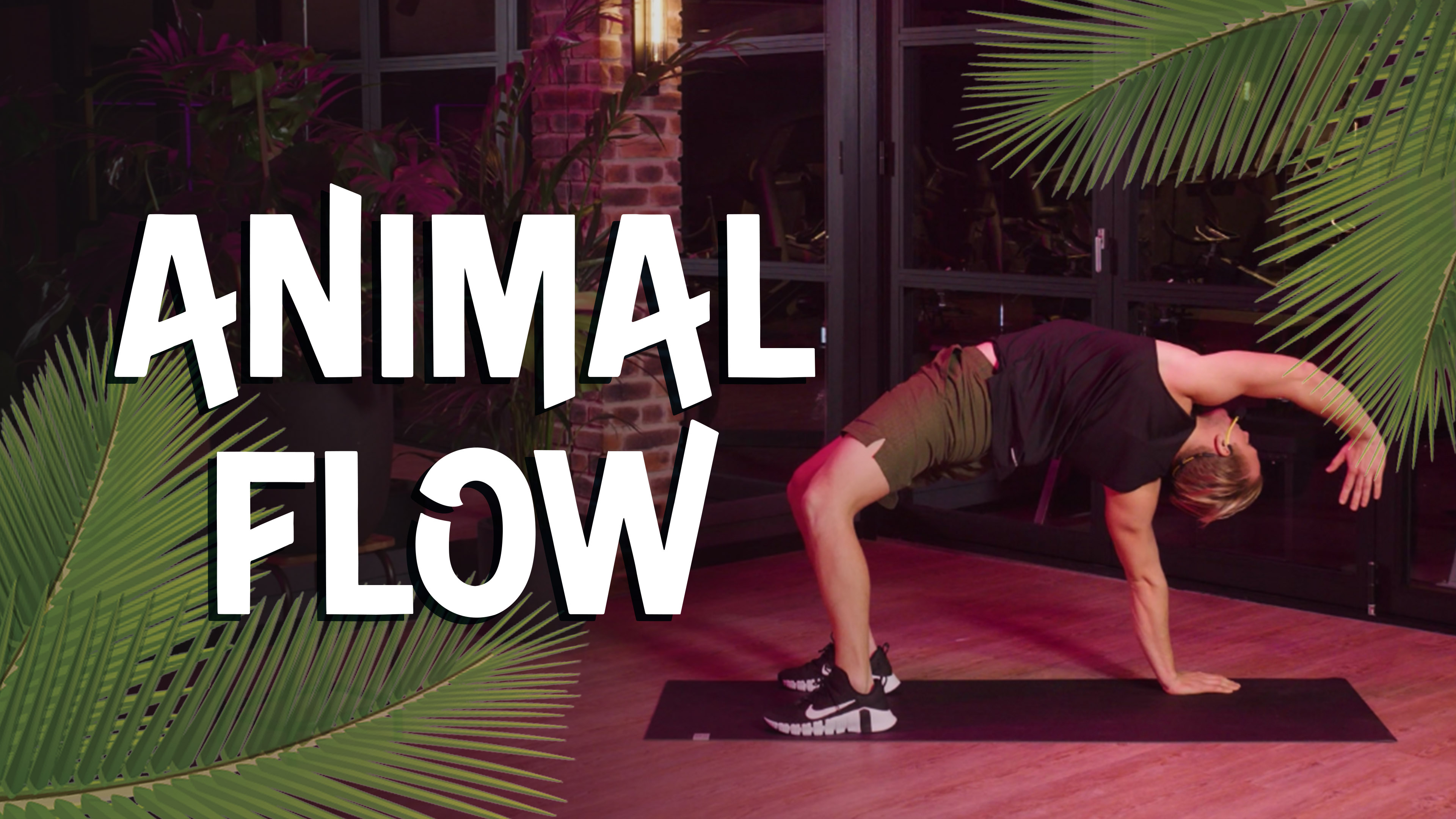 Animal Flow 🐯 1.0 