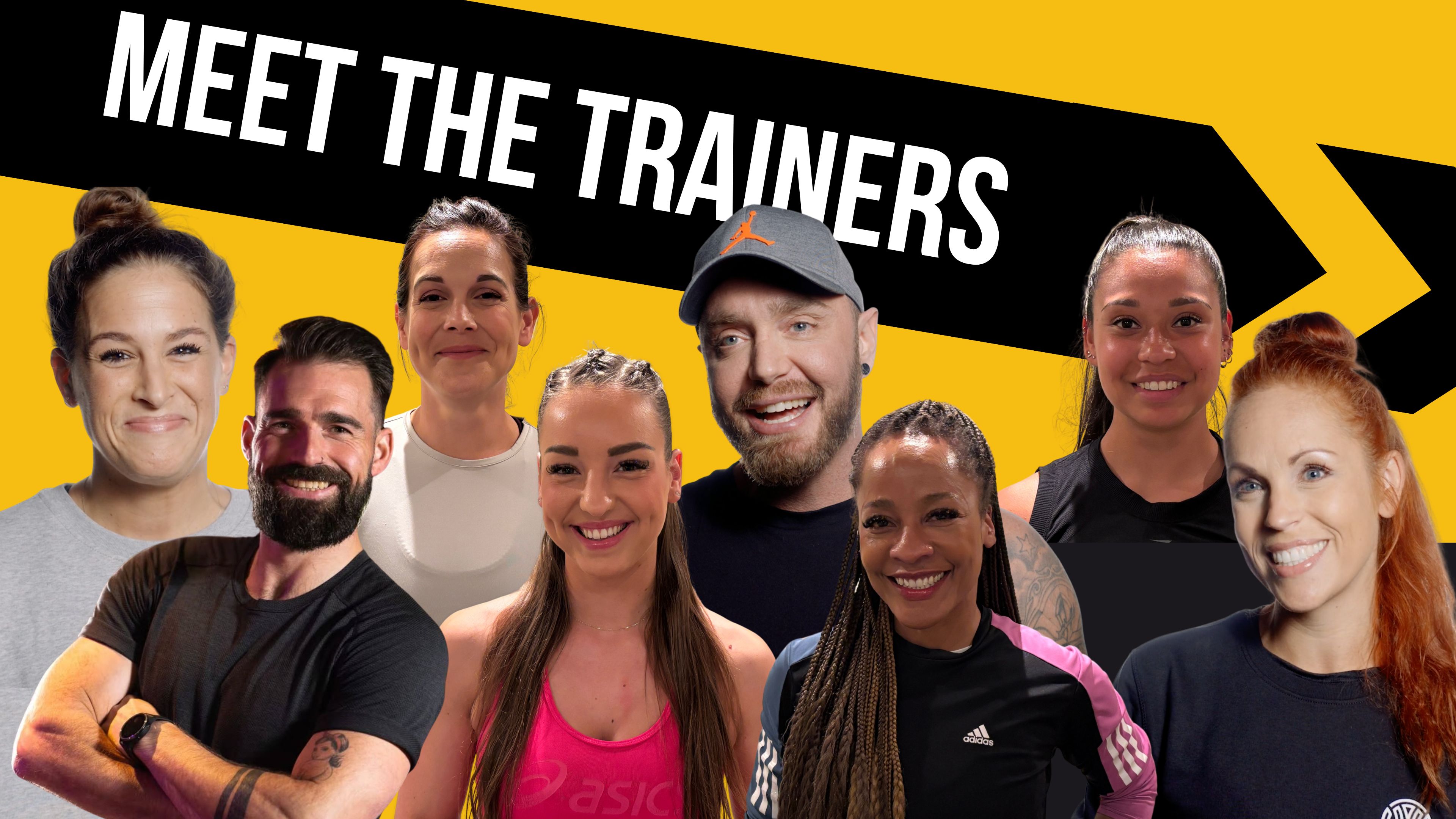 Meet the Trainers