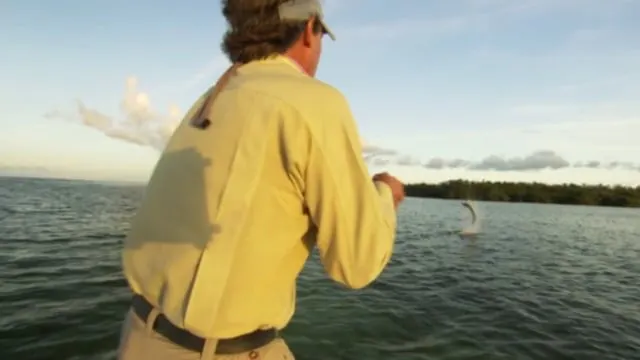 Chasing Silver: A return to the Keys I
