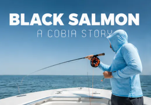 Black Salmon : A Cobia Story