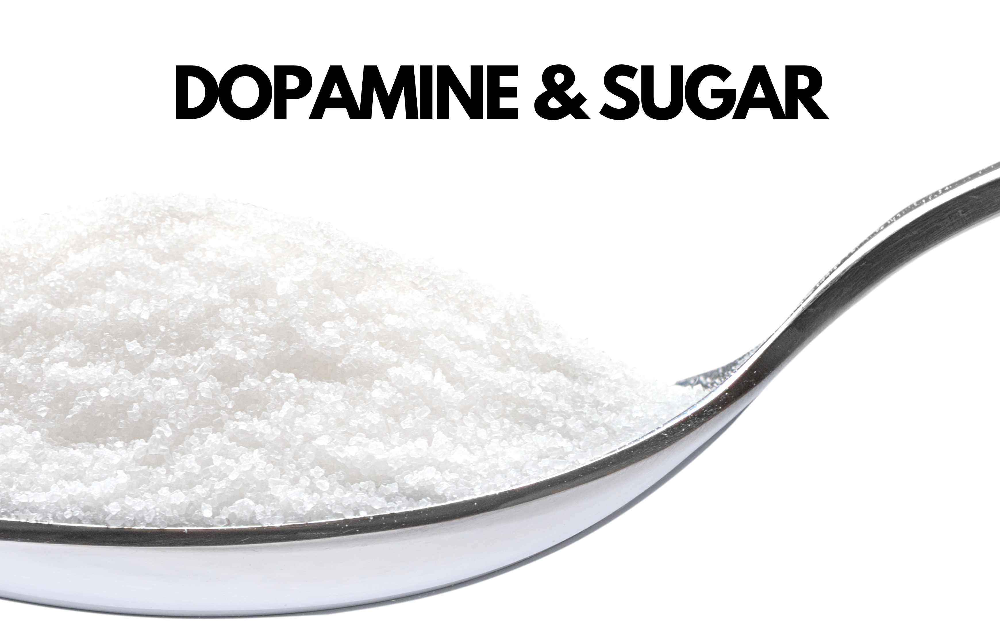 Jonathan Mendoza: Dopamine and Sugar