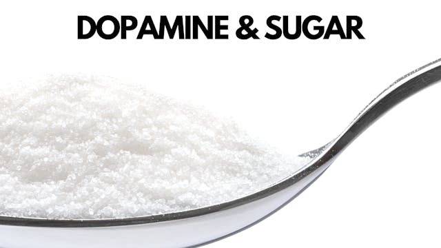 Jonathan Mendoza: Dopamine and Sugar