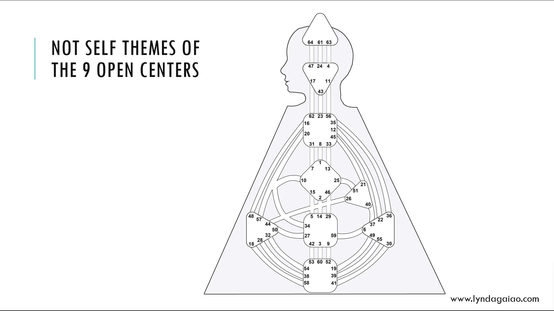 Intro to Not Self Themes