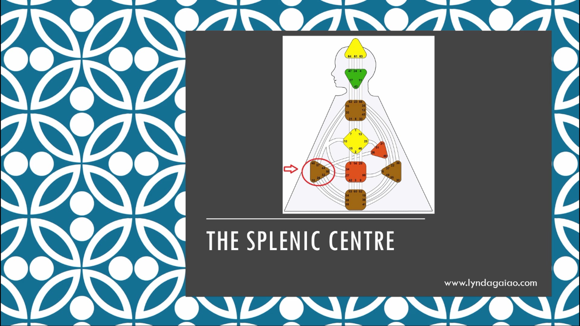 Intro to Awareness Centres and the Spleen Centre