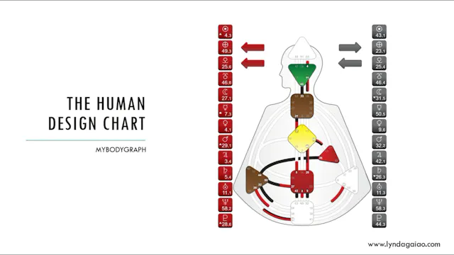 001 Introduction to the course - Human Design Basic Elements - Living ...