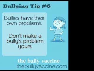 bullytip6problems