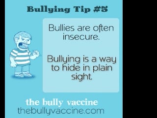 bullytip5nsecure
