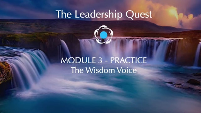 LQ - Module 3 Practice - The Wisdom Voice
