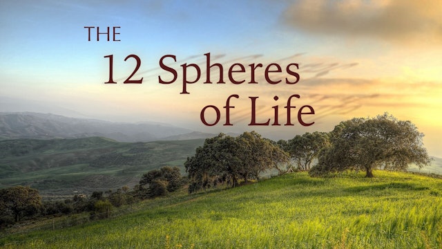 12 Spheres of Life Interview Collection