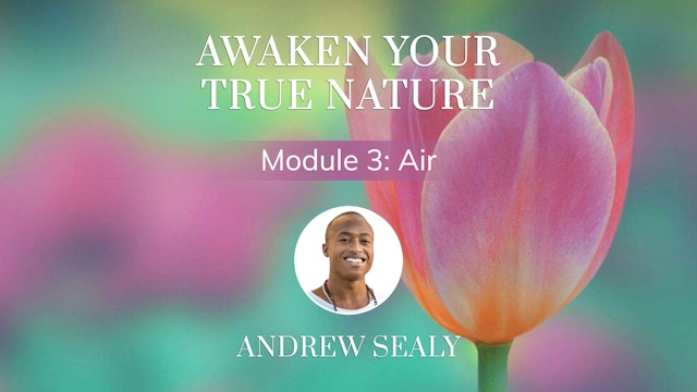 3.0 - Awaken Your True Nature - Week 3 - Intro - Air